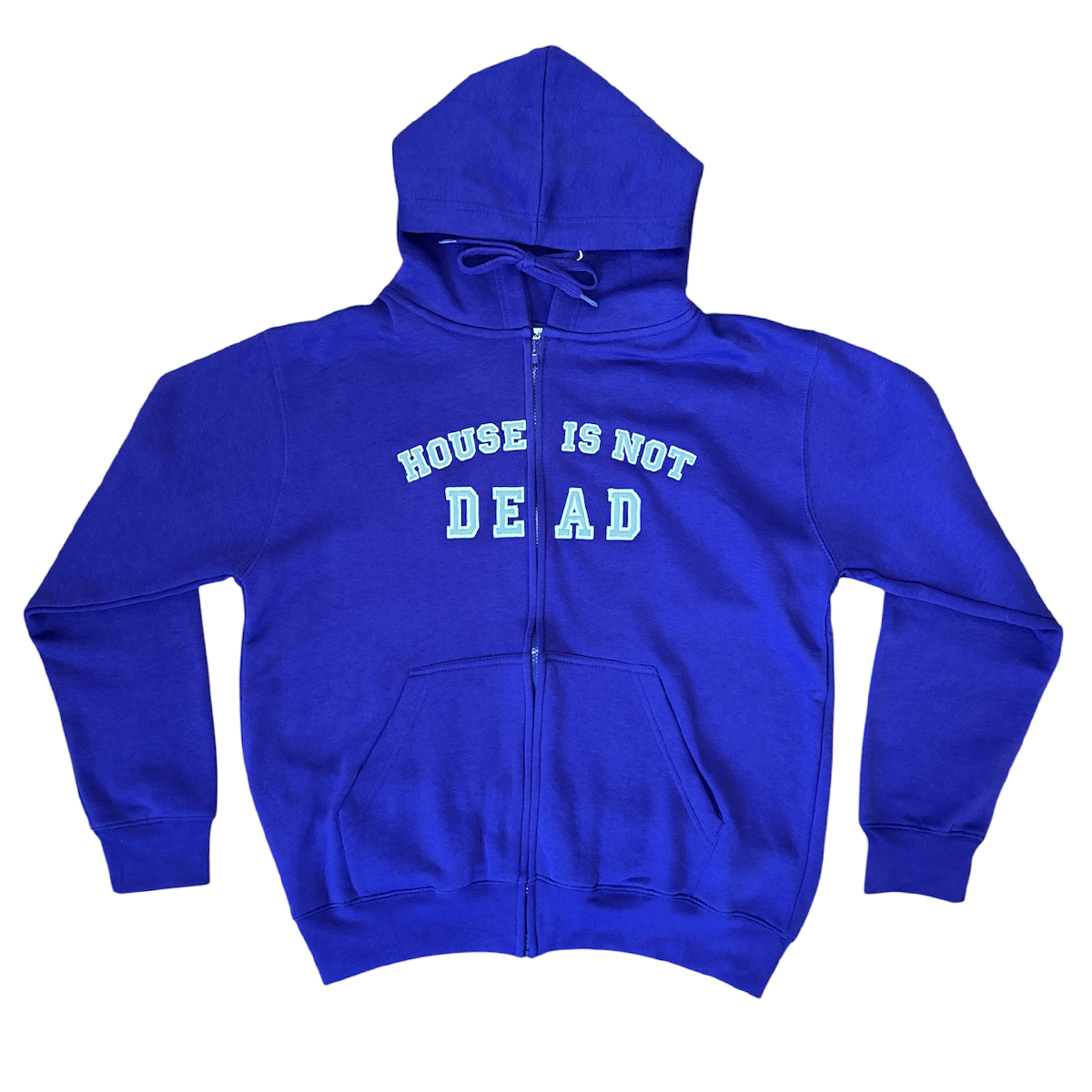 House Is Not Dead Hoodie – Drew Dapps